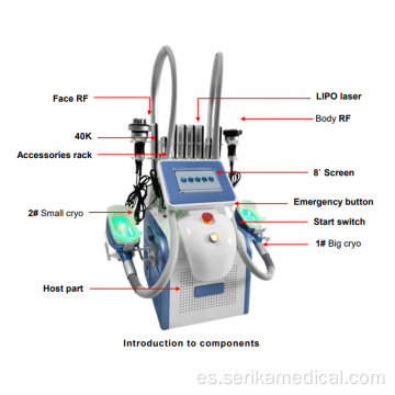 Máquina de reducción de celulitis de forma fresca 360 Cryolipolysys